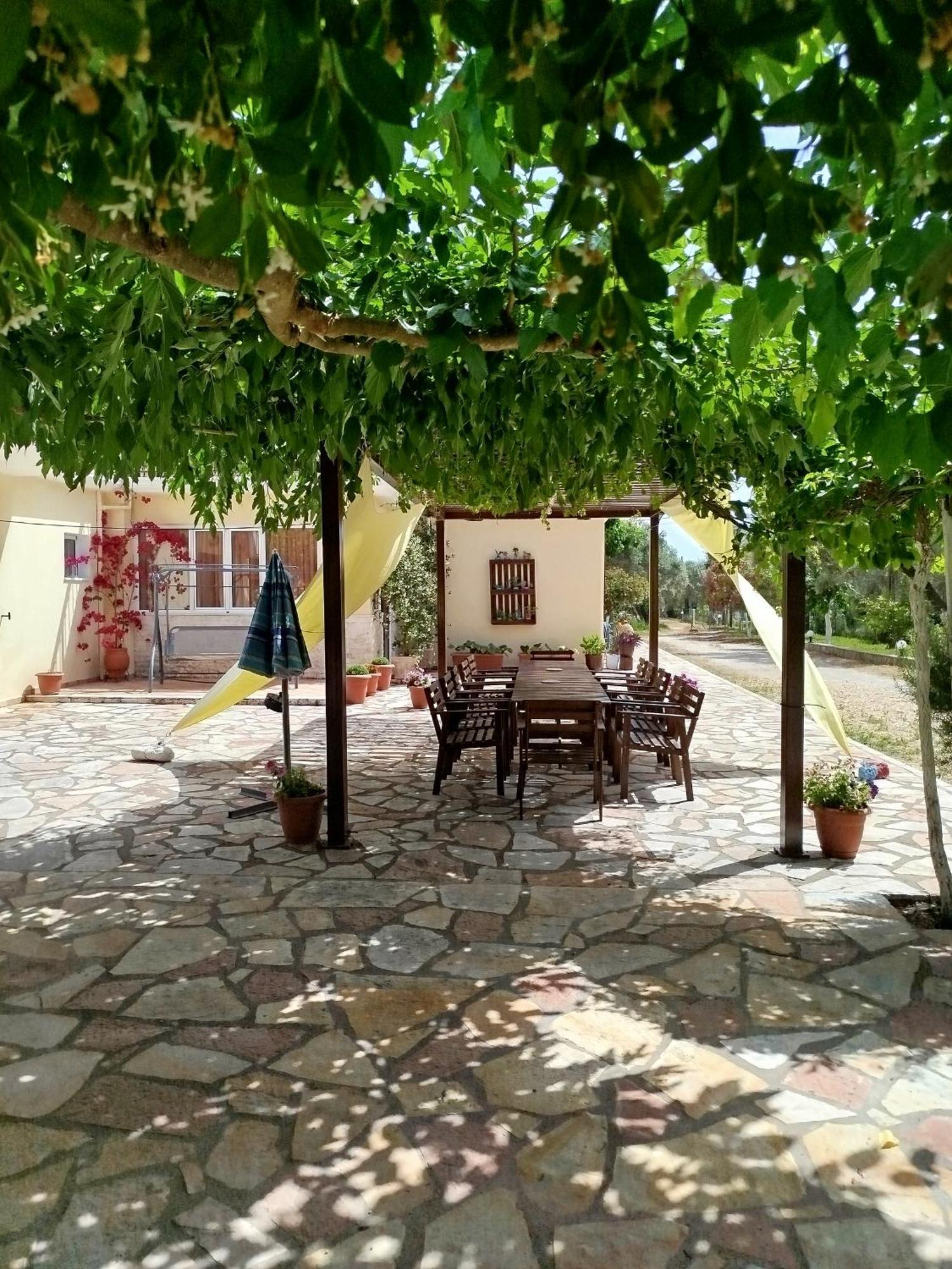 Riverside Αpartments Vasiliki Exterior foto